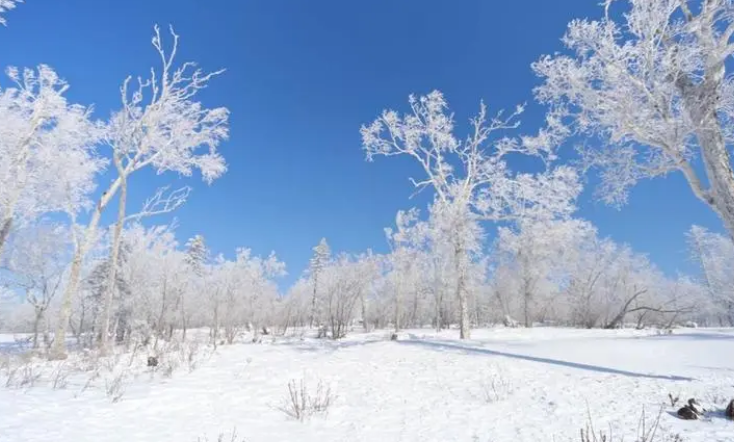 令人惊叹的冰雪世界之美